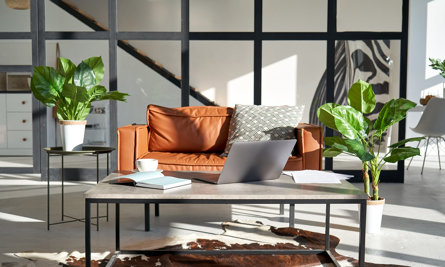 modern-sunny-living-room-interior-design-with-home-FXVJFM4